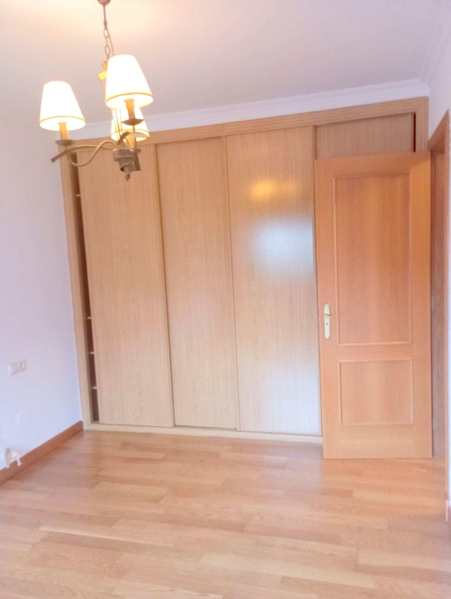 WhatsApp Image 2026-01-20 at 12.08.41 (1)