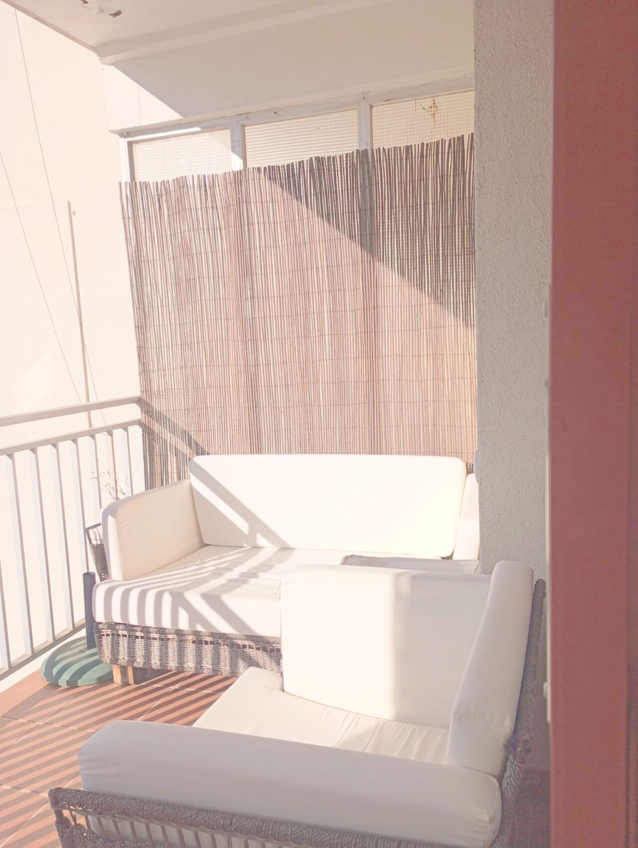 WhatsApp Image 2026-04-01 at 11.14.13 (3)