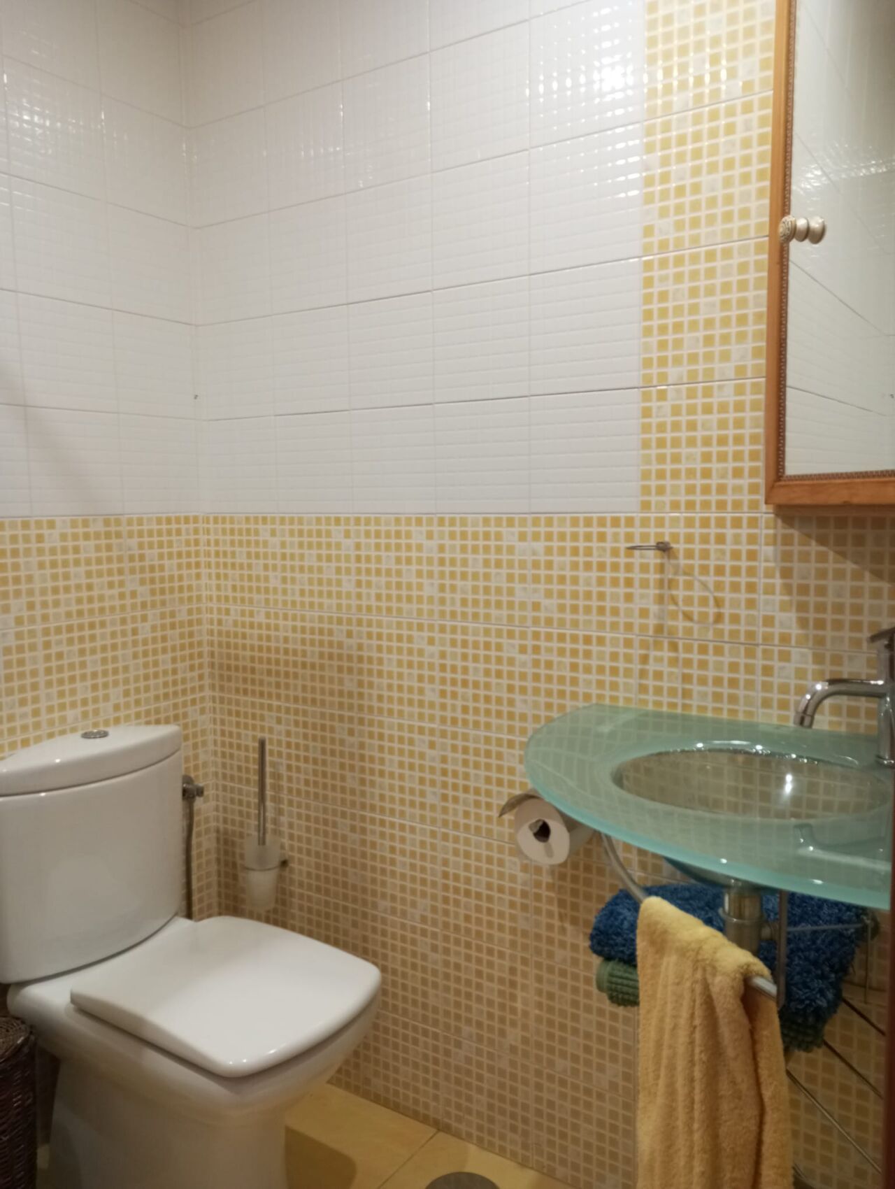 WhatsApp Image 2026-04-01 at 11.14.13