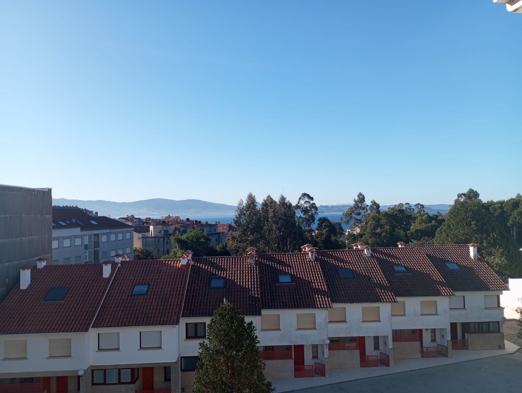 WhatsApp Image 2026-04-01 at 11.14.16 (1)